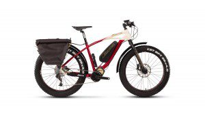 1459785794_fat-bike-sd-con-borse-brooks-laterale-dx