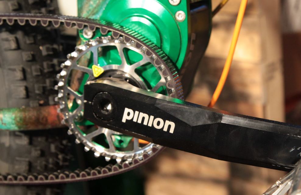 pinion and gates carbon drive