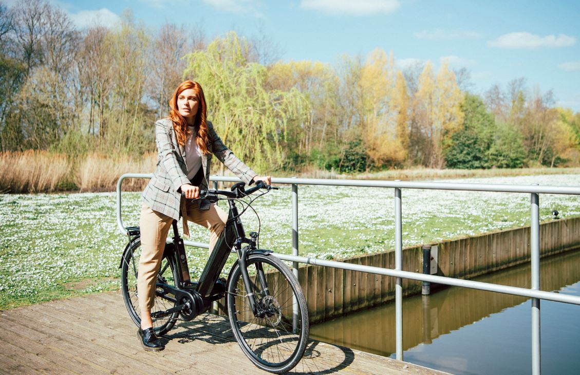 total ev electric bike