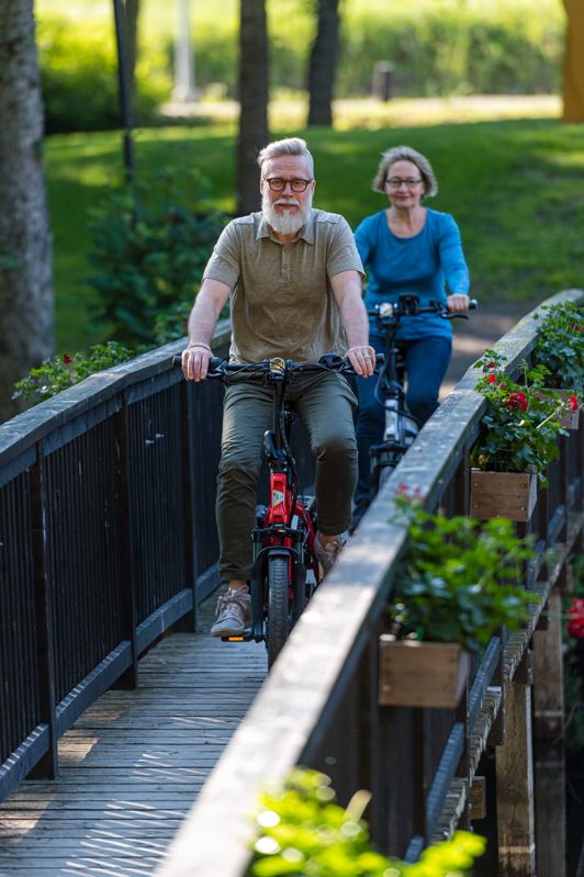 electric bike older rider