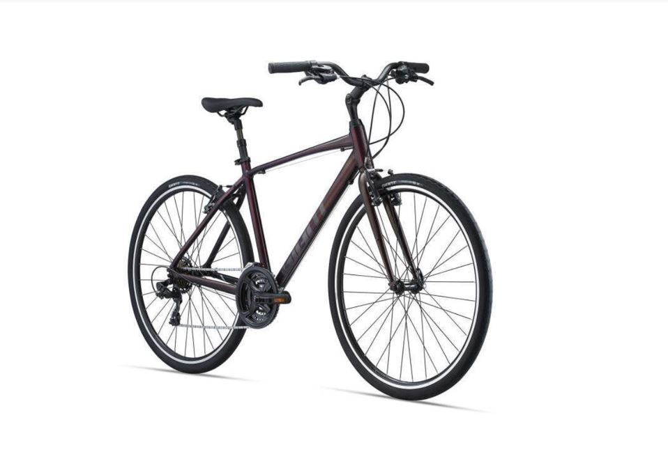 Giant bike 2021 discount model