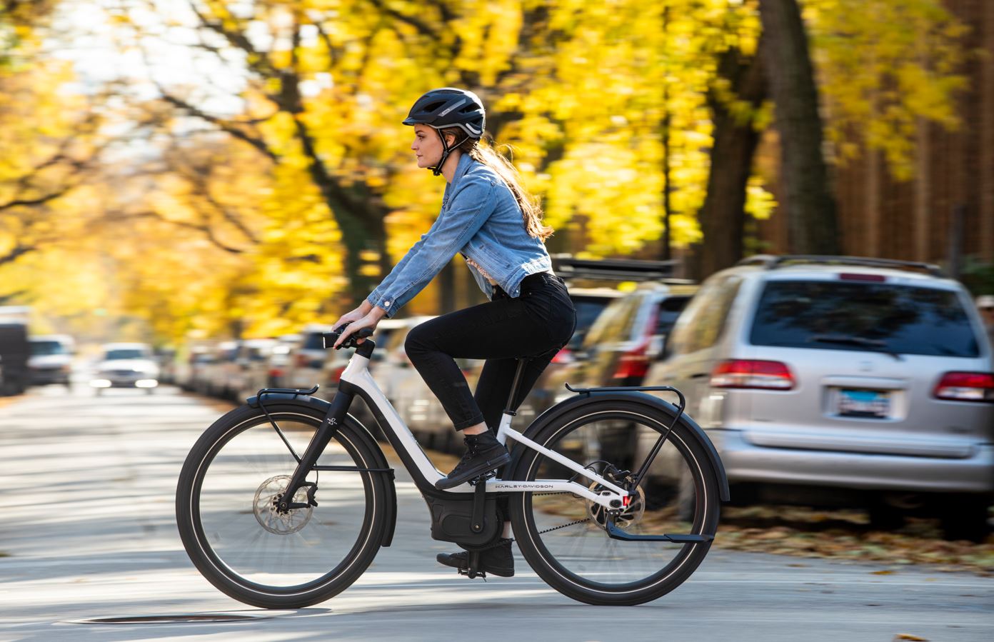 Aw international 2024 electric bike