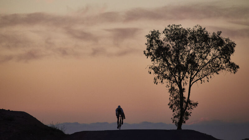 Cafe du Cyclist hero image: Cyclists silhoutted against warm orange skies with mountains in the distance and a tree to the side in the foreground