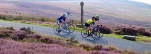 4 people on road bikes in the North York Moors with pink heather on the road side and a rolling moorland in the background