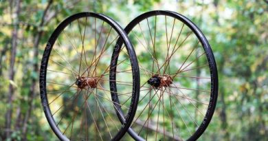 Industry Nine wheels built with Bronze colour spokes and hubs. Shot in wood with wheels on trail dirt and trees in background