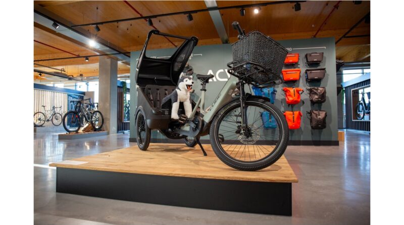 Cube cargo bike in prime location at Oneway Bike showroom. Bike on plinth with wall of panniers behind it